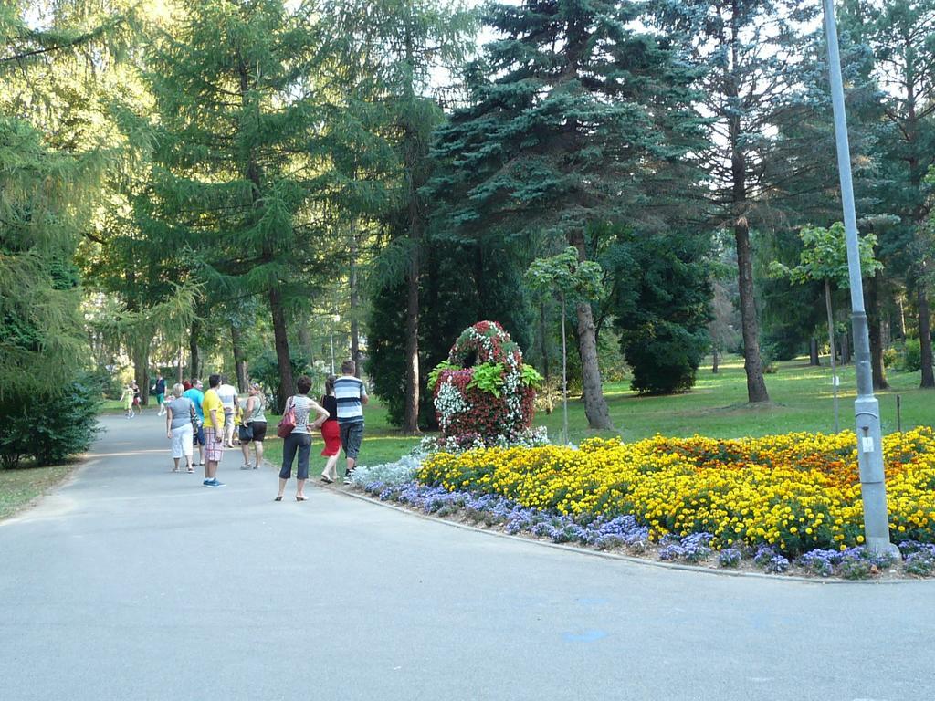 Villa Asturia Rymanow-Zdroj Luaran gambar